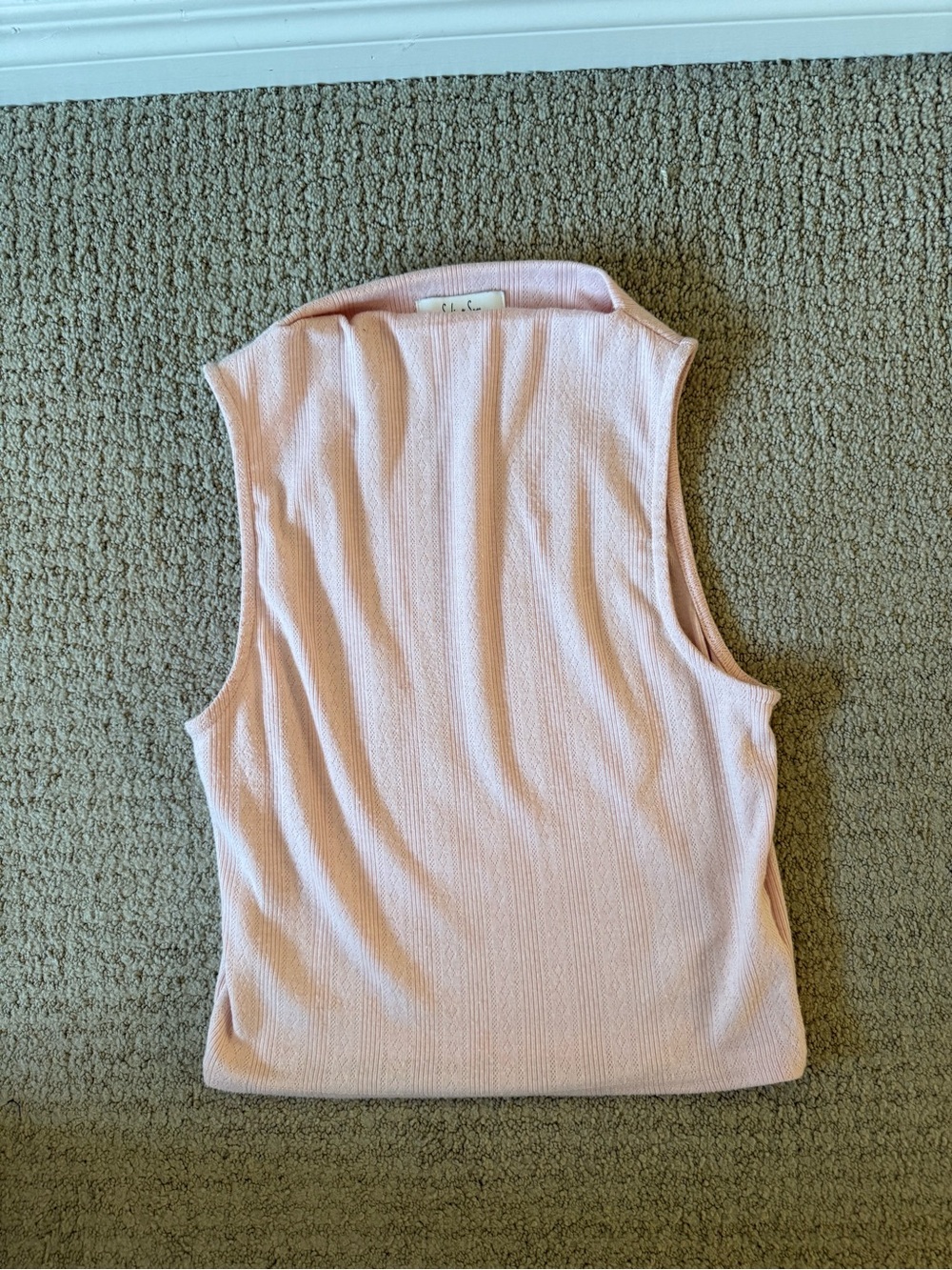 Sadie & Sage Soft Ribbed Mock Neck Tank - Pale Pink